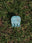 Horseshoe
